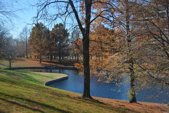 the Gateway Arch grounds and reflecting pool